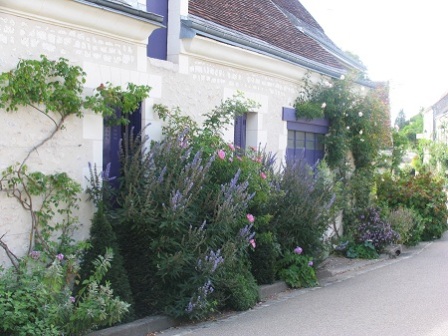 House in Chedigny in Centre-Val de Loire France with purple flowers