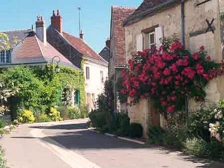 red roses on the street at the Chedigny rose festival