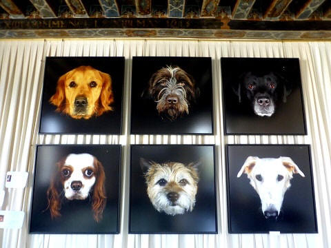 celeb  dog portraits in Chateau Beauregard in the Loire Valley in France