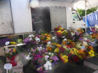 Flower stall at Langeais Sunday market in the Loire Valley
