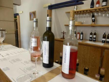 bottles of Loire Valley wines for tasting