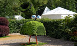 Link to Chaumont garden festival