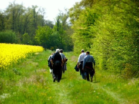 group of walkers hiking in the Loire Valley France