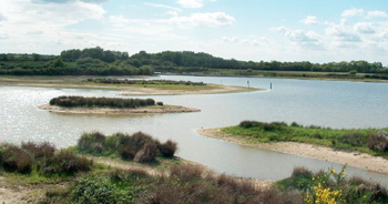 man-made lakes in La Brenne