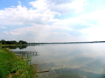 getty in lake in La Brenne