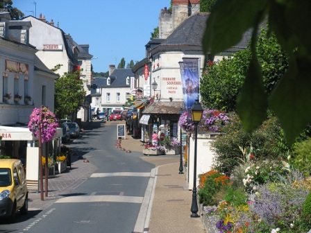 street view of Azay-le-Rideau in bloom